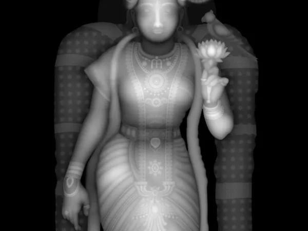 Multi Use 3D Door CNC Design Files 22