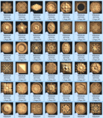 Premium Edition 1 - Image 2