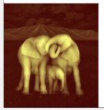 Elephant Wall Panel - Image 3